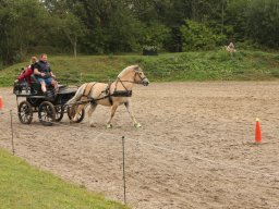 img_9498_web